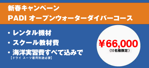 秋特キャンペーン『PADIオープンウォーターダイバーコース』・レンタル器材・スクール教材費・海洋実習費すべて込みで￥49,000円（20名限定）